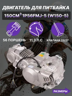 Двигатель на питбайк 150см3 кикстартер 1P56FMJ (W150-5)