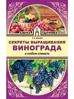 Секреты выращивания винограда в любом климате