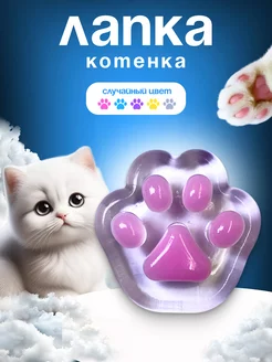 Мини лапка котенка