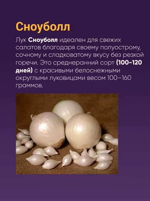 Лук севок белый озимый Сноуболл 10-21 мм 0,5 кг Голландия, 500 г, фото 3