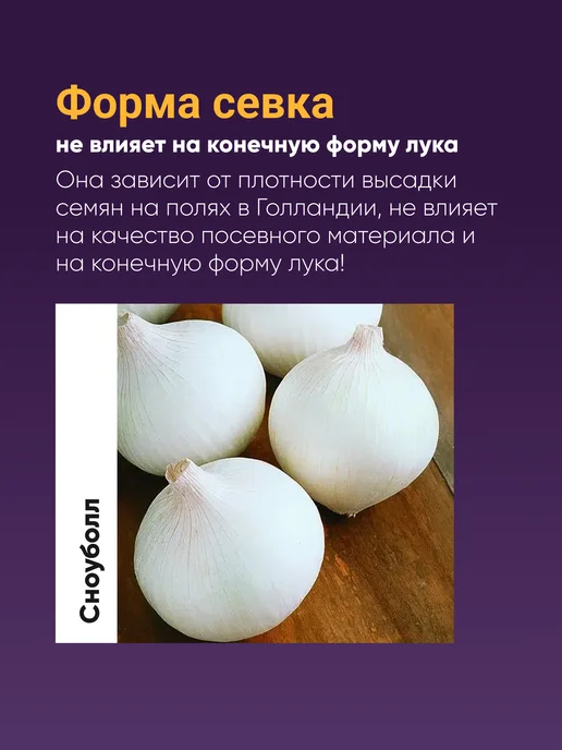Лук севок белый озимый Сноуболл 10-21 мм 0,5 кг Голландия, 500 г, фото 4