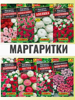 Семена цветов маргаритки