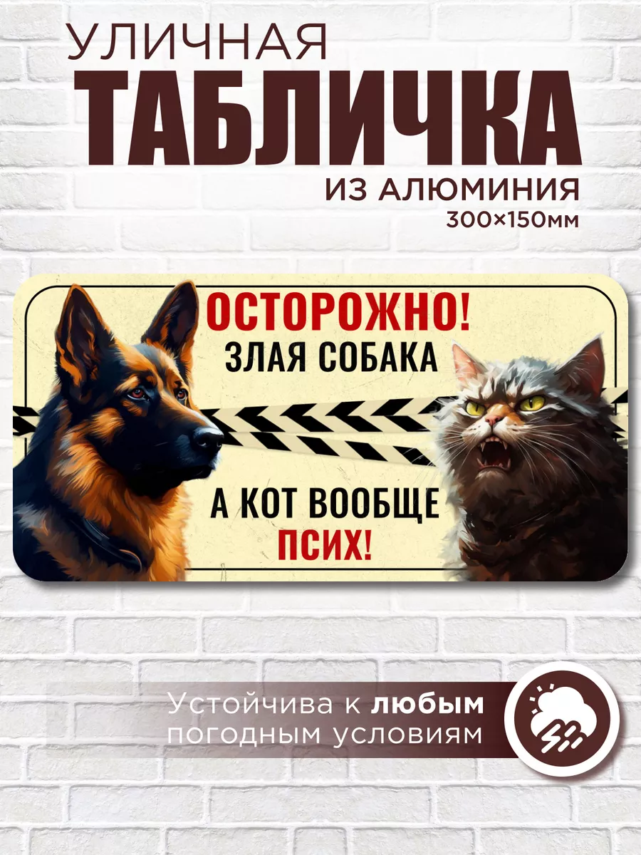 Табличка кот псих