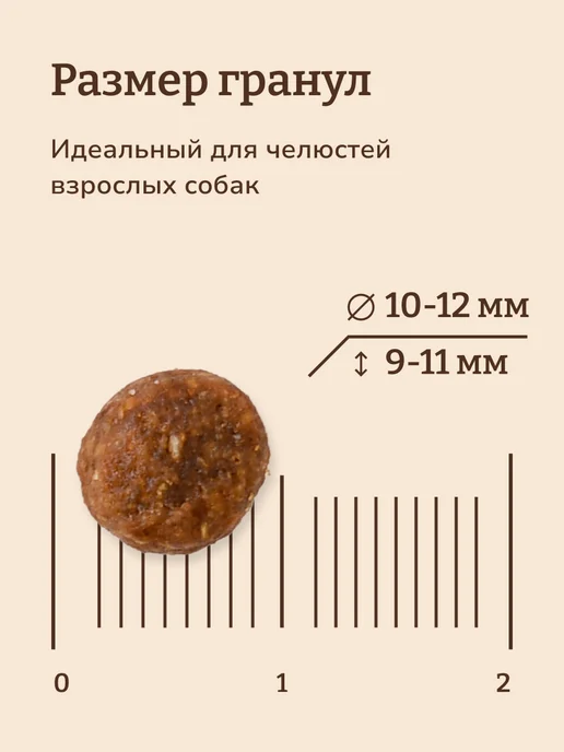 Сухой корм NOW'KITCHEN для собак, взрослые, индейка, 0,4 кг, фото 5
