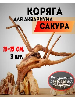 Коряга для аквариума натуральная Сакура 3 шт 270950156 купить за 502 ₽ в интернет-магазине Wildberries