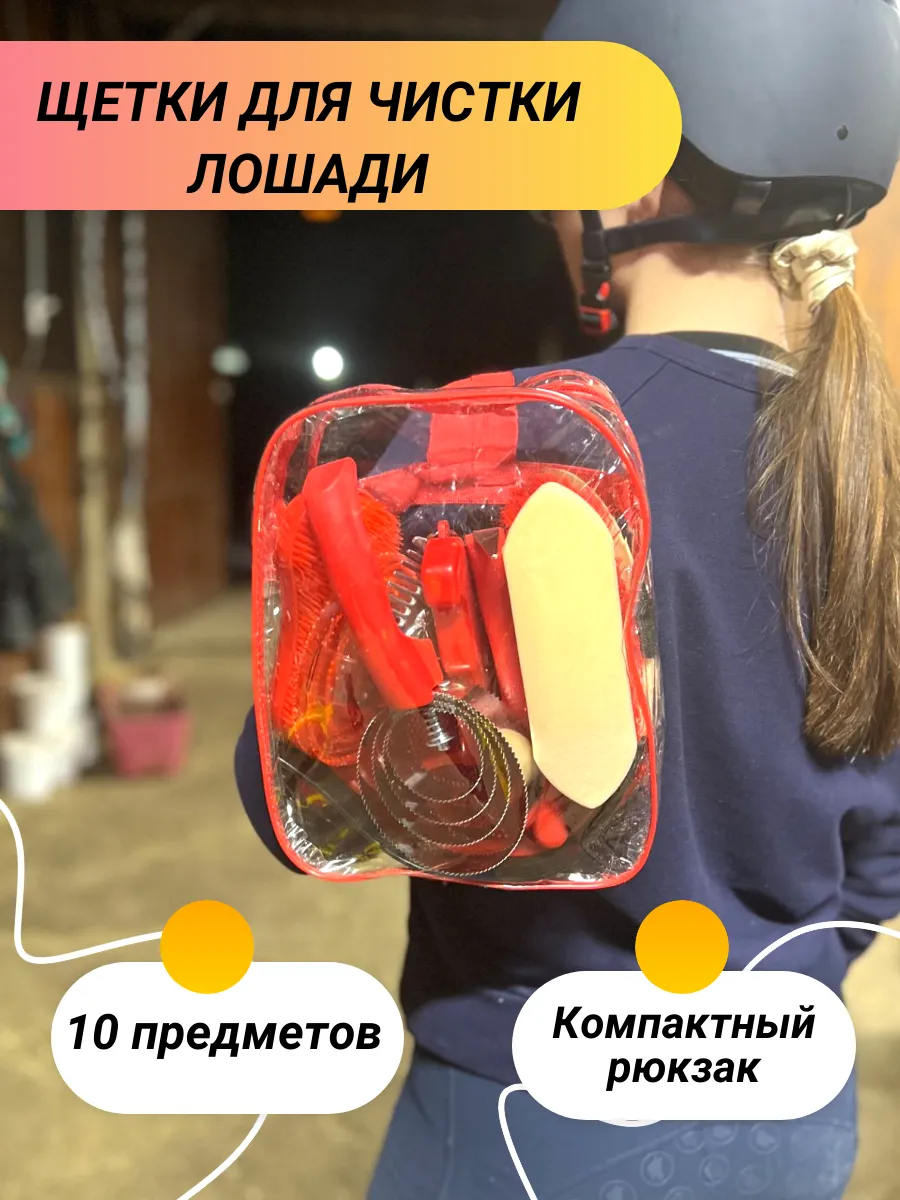 Набор щеток для лошадей