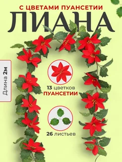 лиана с цветами