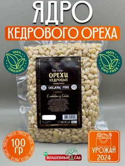 Кедровые орехи очищенные 100 гр Волшебный сад 271177708 купить за 324 ₽ в интернет-магазине Wildberries