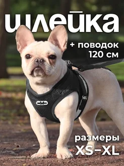 Шлейка для собак и кошек анатомическая MiloPets 271280174 купить за 435 ₽ в интернет-магазине Wildberries