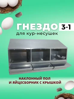 Гнездо для кур-несушек с яйцесборником 3-1 Crazy Ferma 271344700 купить за 9 768 ₽ в интернет-магазине Wildberries