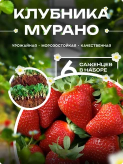 Интернет-магазин Wildberries: широкий ассортимент товаров - скидки каждый день!