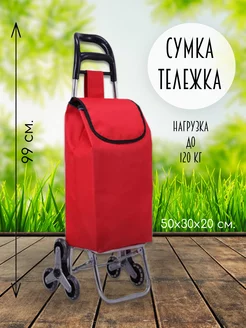 Сумка тележка на колесах ЭваЙКейс 271408123 купить за 1 813 ₽ в интернет-магазине Wildberries