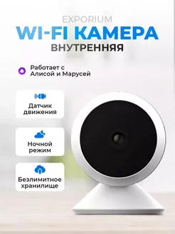 Камера видеонаблюдения внутренняя WiFi