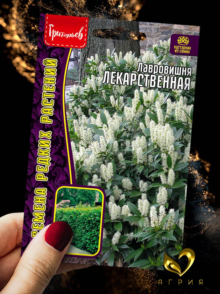 Семена Лавровишня Лекарственная