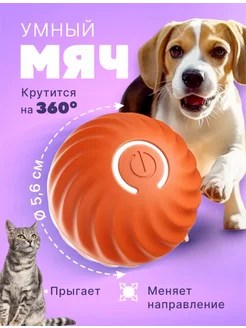 Игрушка для кошек и собак мячик интерактивный