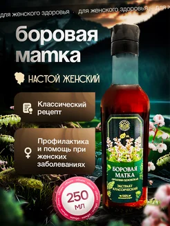 Боровая матка настойка для женщин