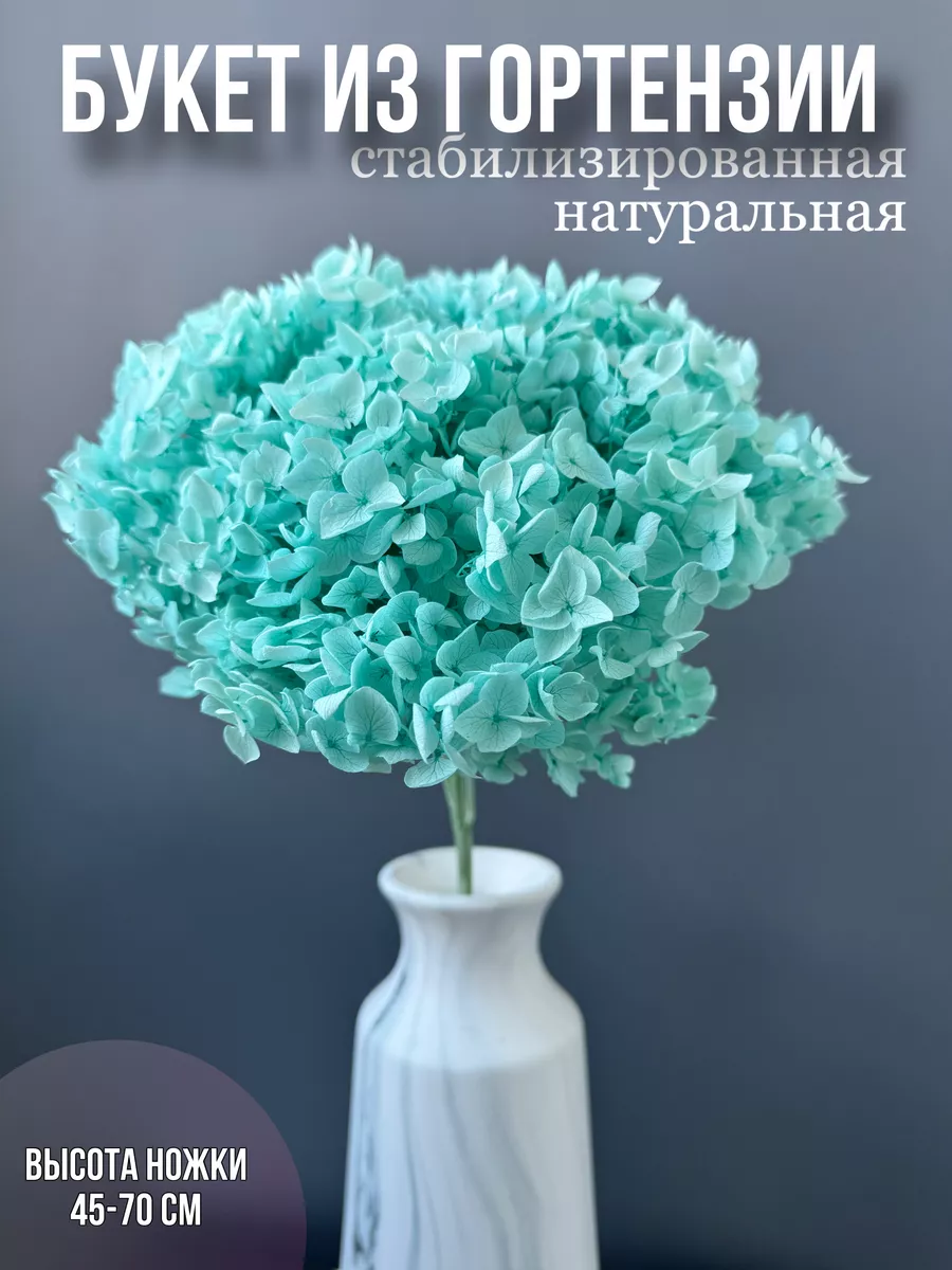 Гортензия стабилизированная сухоцветы для декора