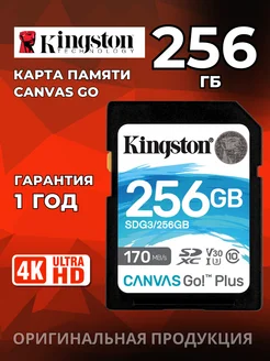 Карта памяти Canvas Go! Plus SD 256GB