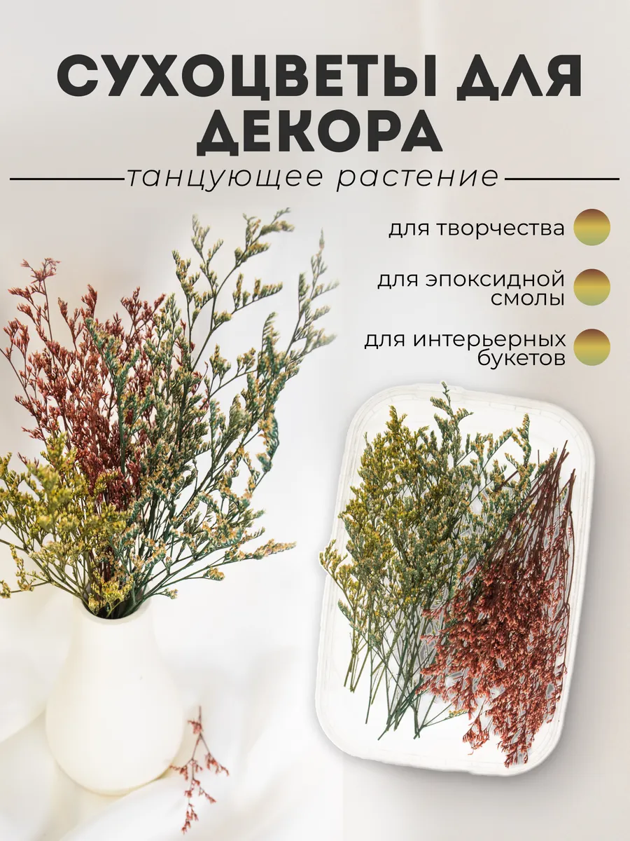 Натуральные сухоцветы для декора танцующее растение