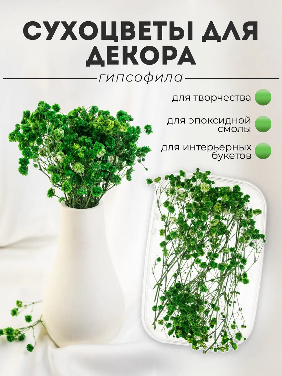 Гипсофила сухоцвет букет цветов