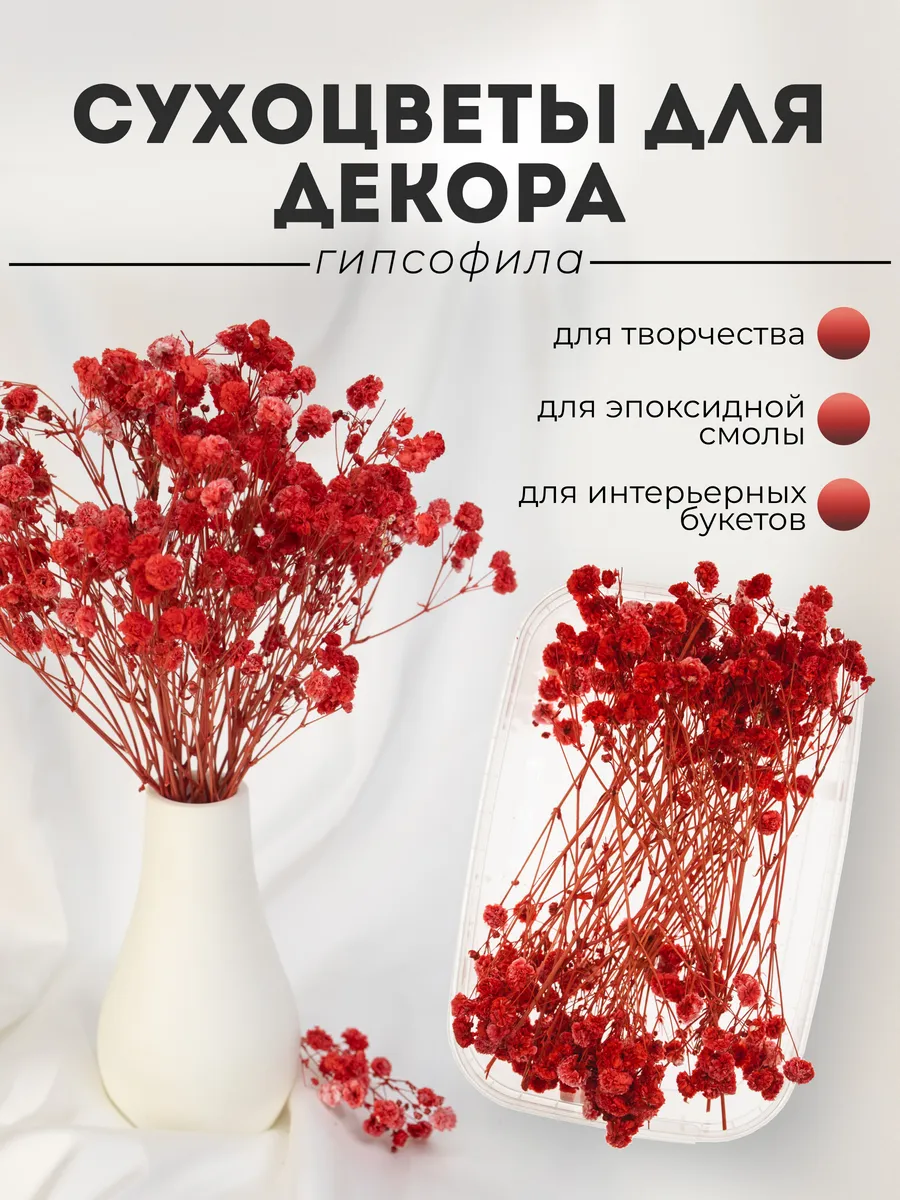 Гипсофила сухоцвет букет цветов