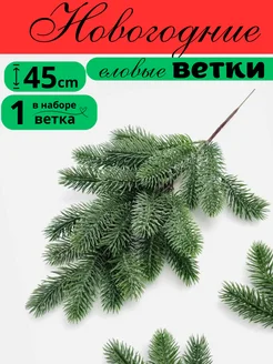 Еловые ветки с шишками хвойные ветки