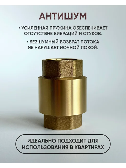 vieir Обратный клапан 1" дюйм c латунным штоком вн-вн, вариант, фото 2