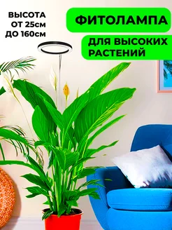 Кольцевая фитолампа для высоких растений MIXNICE 271972810 купить за 1 988 ₽ в интернет-магазине Wildberries