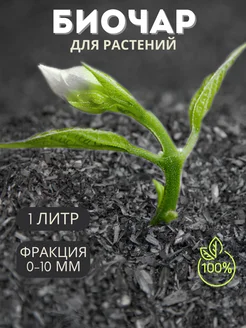 Биочар для растений 0-10 мм Сила Байкала 272063972 купить за 140 ₽ в интернет-магазине Wildberries