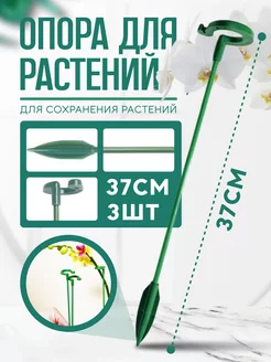 Опора для комнатных растений