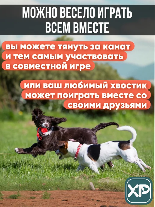 XPAWS Мячик для собак на веревке, красный, фото 4