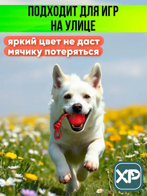 XPAWS Мячик для собак на веревке, красный, фото 7
