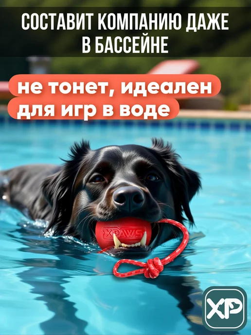 XPAWS Мячик для собак на веревке, красный, фото 8