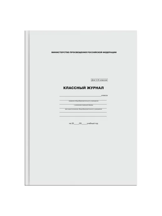 BG Классный журнал для 5-9 классов, твёрдый переплёт, 88 листов, вариант, фото 2