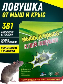 Мышеловка клеевая ловушка для мышей