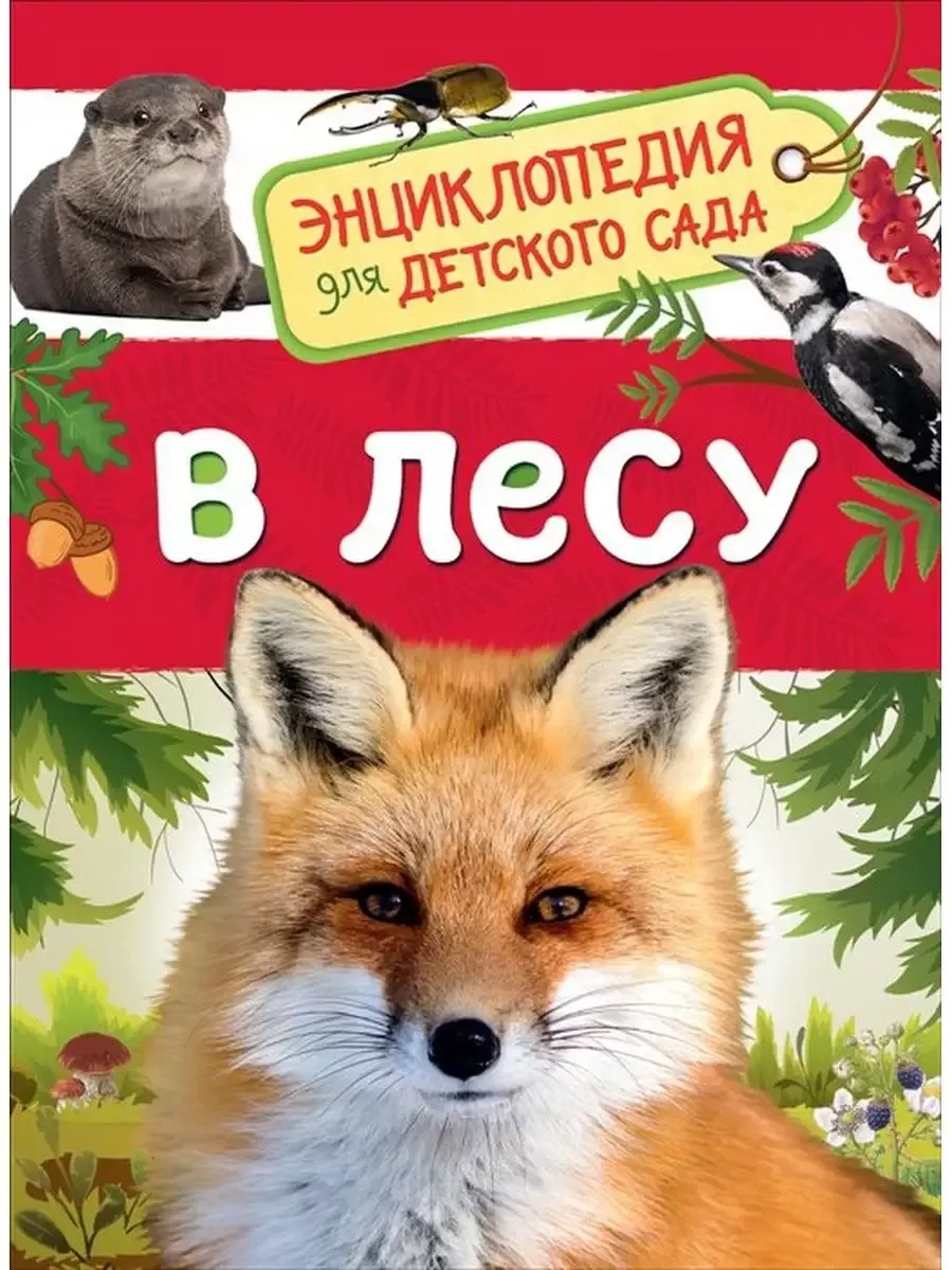 В лесу (Энциклопедия для детского сада)