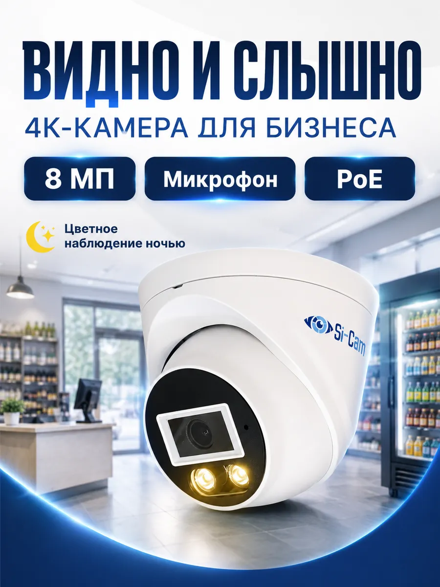 IP камера видеонаблюдение с микрофоном для офиса PoE