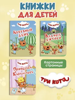 Набор из 3 картонных мини-книг