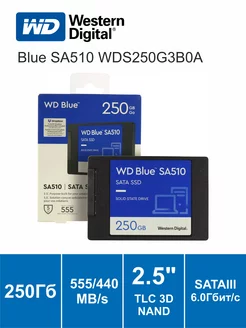 Накопитель SSD 250 ГБ WD Blue SA510 2.5" SATAIII WD 272936028 купить за 2 486 ₽ в интернет-магазине Wildberries