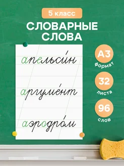 Набор обучающих карточек «Словарные слова 5 класс»