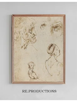 Постер Sheet of Studies - Leonardo da Vinci