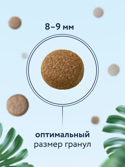 Сухой корм Florida. для собак, средние, щенки, курица, 14 кг, фото 4