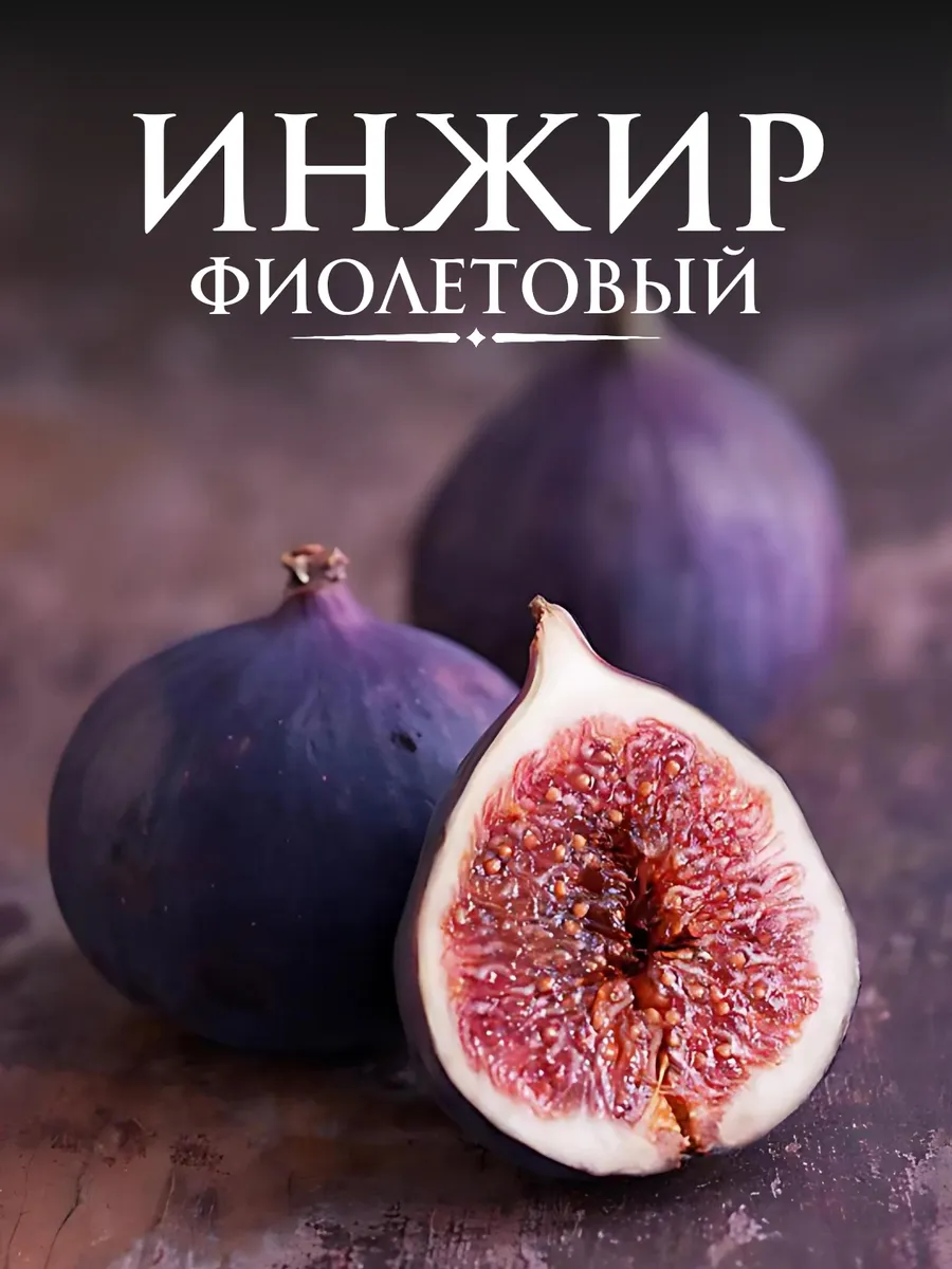 Фрукт фиолетовый