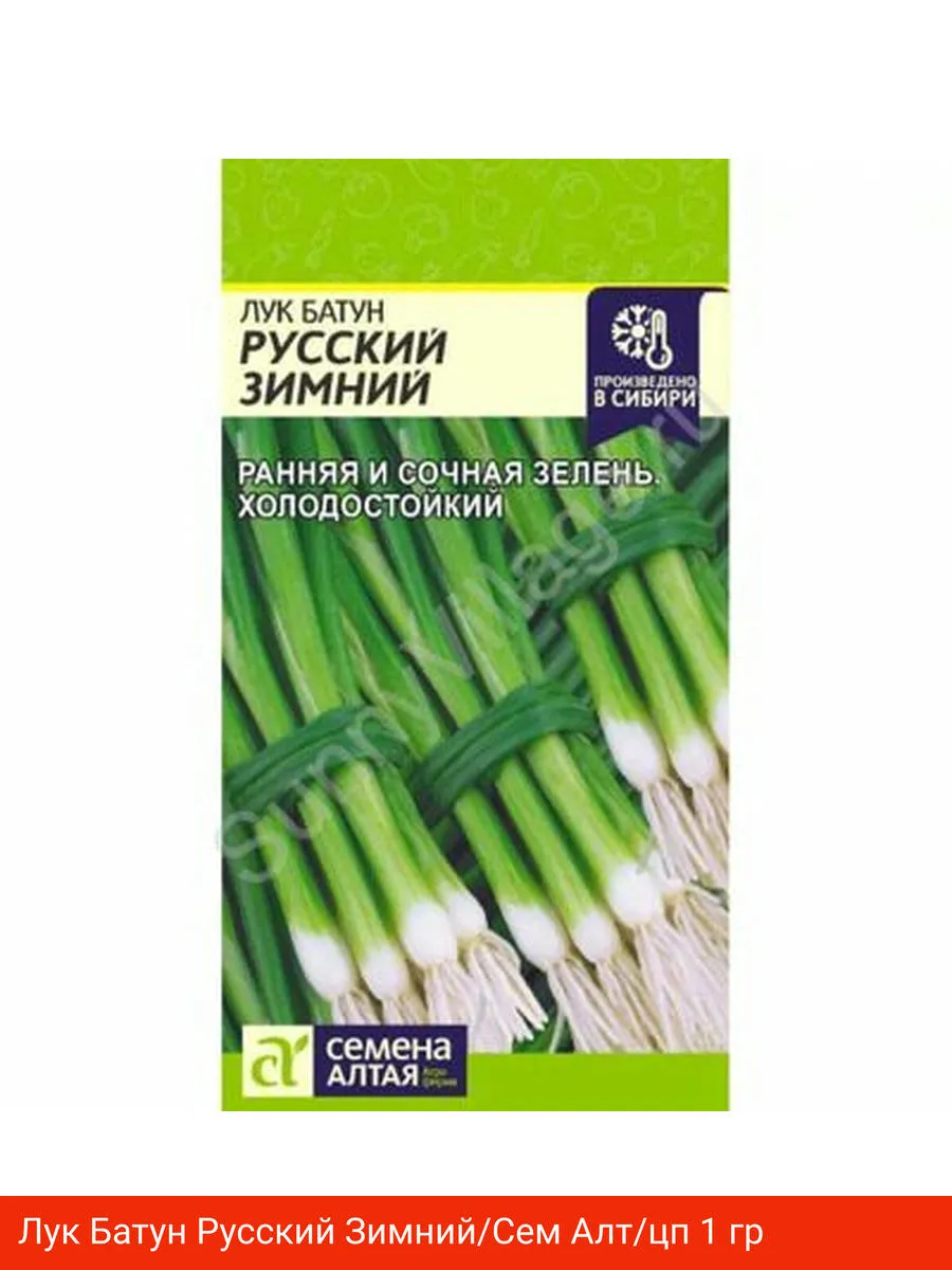 цопе русские Лук Батун Русский Зимний Oksimag купить по цене 189 ₽ в интернет-магазине  Wildberries | 273274019