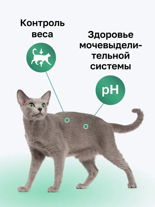 Сухой корм Organix Кошек Sterilised для собак, стерилизованные, кролик, 1,5 кг, фото 2
