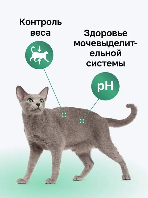 Сухой корм Organix Кошек Sterilised для собак, стерилизованные, курица, 0,4 кг, фото 2