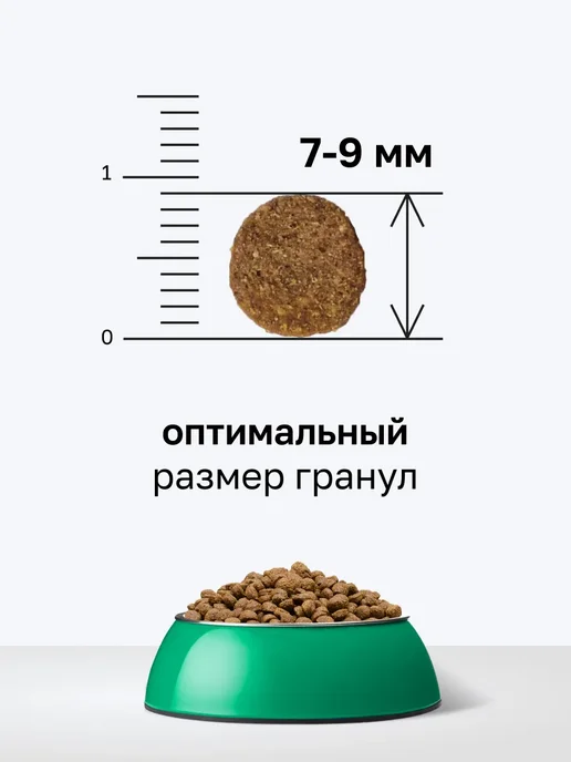 Сухой корм Organix Кошек Фруктами для собак, курица, 0,4 кг, фото 7