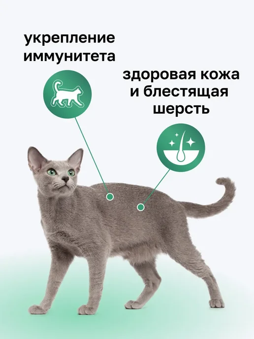 Сухой корм Organix Кошек Фруктами для собак, курица, 1,5 кг, фото 2