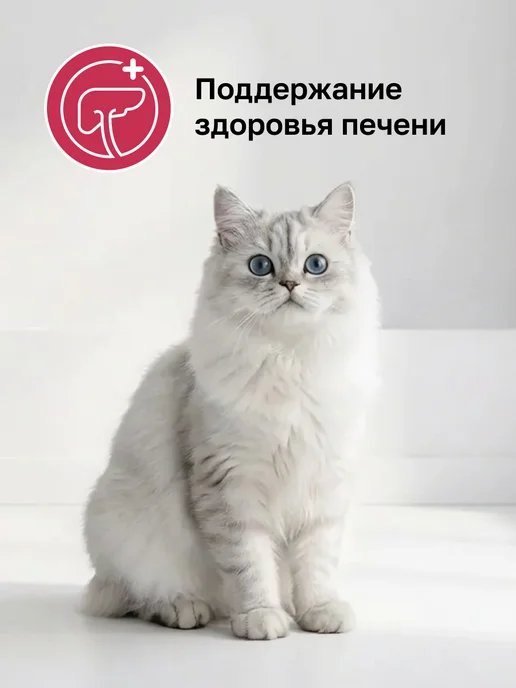 Сухой корм Organix Hepatic Кошек для собак, 0,6 кг, фото 2