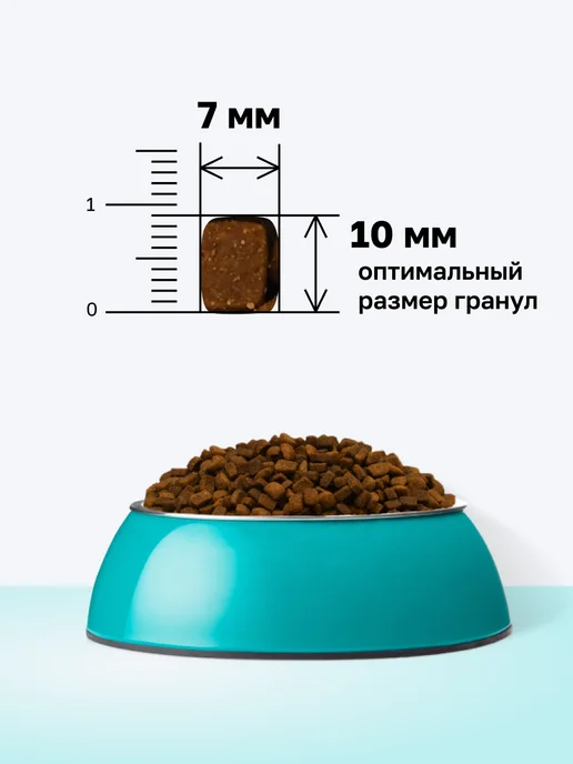 Сухой корм Organix Hepatic Кошек для собак, 0,6 кг, фото 5